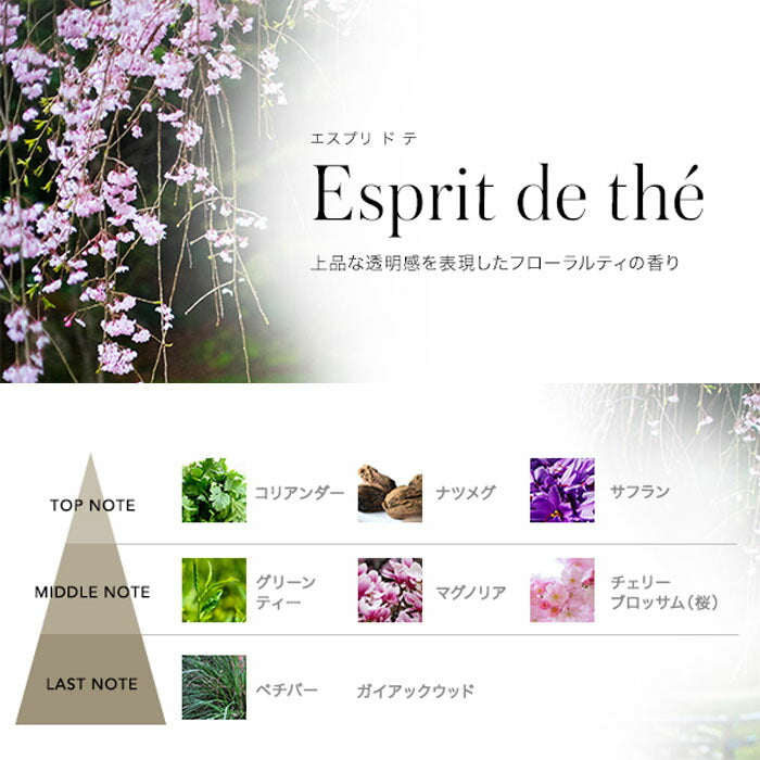 ESTEBAN Incense Stick Esprit de Te 98866 Nippon Kodo Incense Stick Incense Stick For Gift