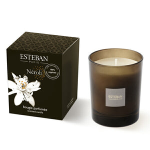 Esteban Candle Neroli 53569 Nihon Kodo Aroma Candle Candle Candle Candle