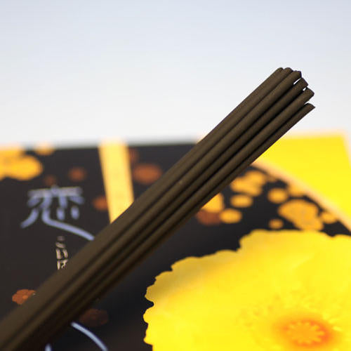 Koika Series CUTE (Cute) Yellow Box Large Rose Kaoka Kaikin -do