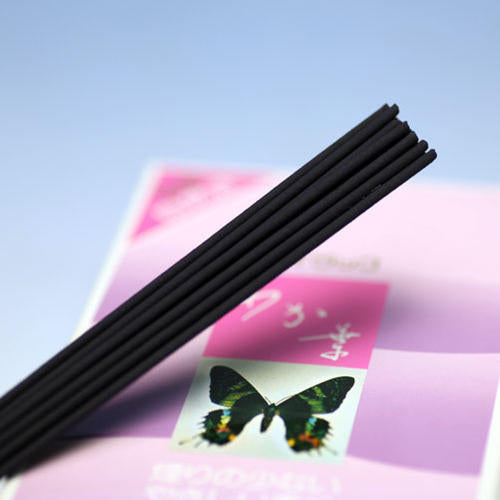 YP-1 Wakaba大玫瑰细烟Kaika很棒