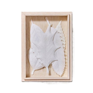 Осень ха -ко 5 штук в штучной упаковке Kunjudo 1711 Koujudo