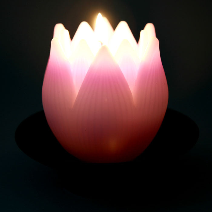 Flower type candlestick (with bowl) Set of 2 CANDLE GIFT  TOKAISEIRO