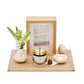 Rainbow Holy Bon Square Oak No. 32 YAMAGUCHI KYUJO[domestic shipping only]