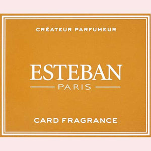 ESTEBAN Esteban Card Fragrance Neroli Neroli Civil Circle incense 52145 Nippon Kodo NIPPON KODO
