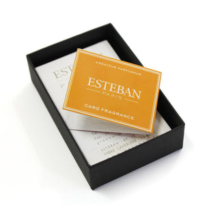 ESTEBAN Esteban Card Fragrance Neroli Neroli Civil Circle incense 52145 Nippon Kodo NIPPON KODO