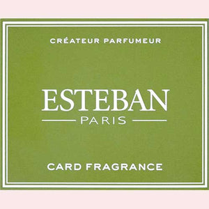 Esteban Este Ban Card Fragrance Green Note Green Note B -Babernal KA 52147 Nippon Kodo Nippon Kodo