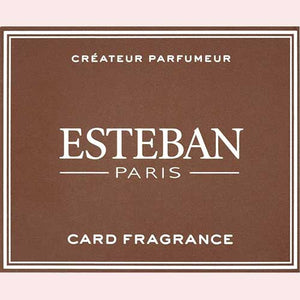 Esteban Esteban Card Fragrance Tonka Tonka Civilcence 52148 Nippon Kodo Nippon Kodo