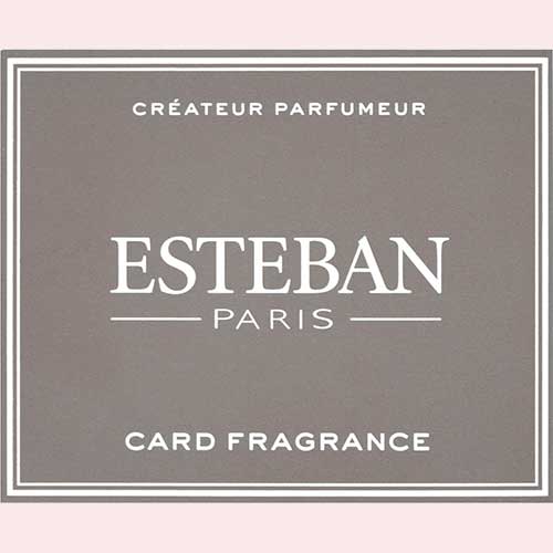 ESTEBAN エステバン カード フレグランス SANTAL サンタル 名刺香 52149 日本香堂