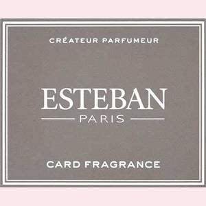 ESTEBAN エステバン カード フレグランス SANTAL サンタル 名刺香 52149 日本香堂
