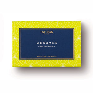 Esteban Este Ban Card Card Fragrance Agrumes Agrumes仪式52150 Nippon Kodo Nippon Kodo