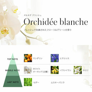ESTEBAN Esteban Ocarus Stick Orkide Blancha 98846 Nippon Kodo NIPPON KODO Hall Pumid Gift