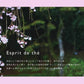 Esprit de Te Room Spray 100ml 53063 Nihon Kodo