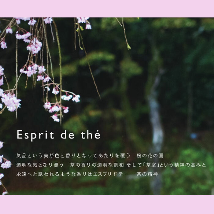 Esprit de Te Room Spray 100ml 53063 Nihon Kodo