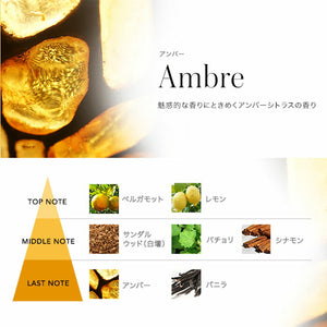 Эстебан Эстебан Первый латинский букет Amber 52202 Nippon Kodo Nippon Kodo подарок