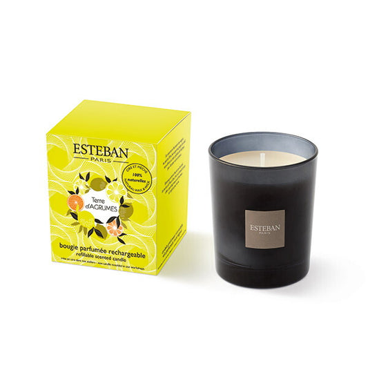 Esteban Esteban Candle Tail Dagrum 52226 Nippon Kodo Nippon Kodo Aroma Candle Candle