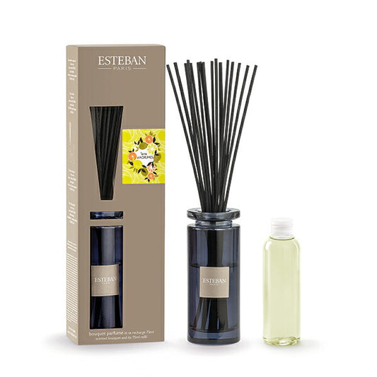 ESTEBAN Initial Rattan Bouquet Tail Dagrume 52227 Nihon Kodo Gift [Domestic shipping Only]
