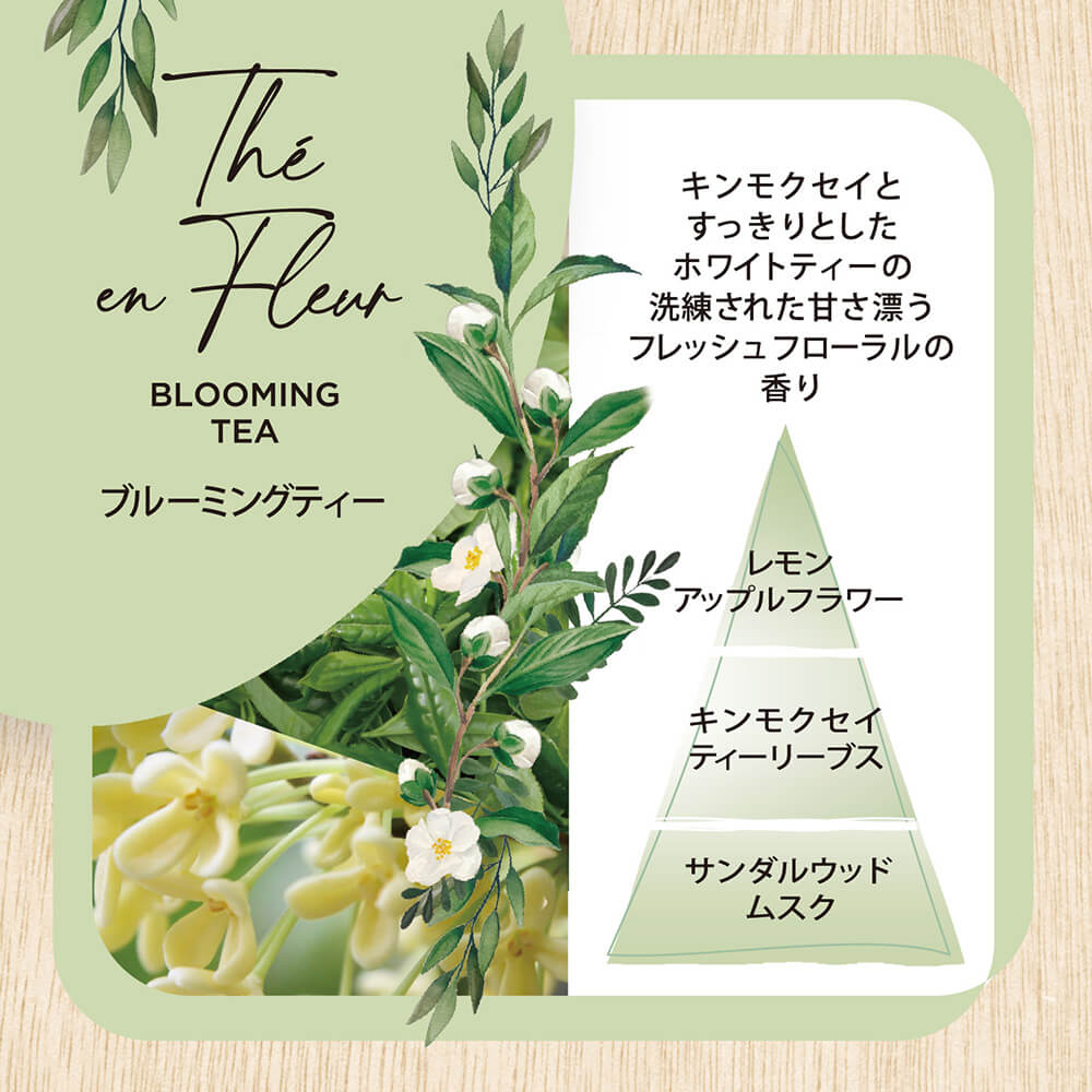 Interior Garden Nature Blooming Tea Room Spray 100ml 52513 Nihon Kodo