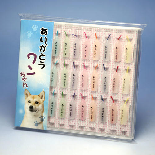 谢谢狗CD盒，包括迷你蜡烛，蜡烛，koike蜡烛