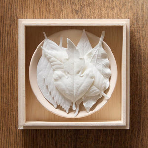 Ха -ко 6 штук в штучной штучной упаковке кунджудо 1702 Koujudo