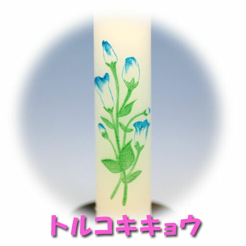 La Bouquet Randohekkon Tokai Wax 160-11