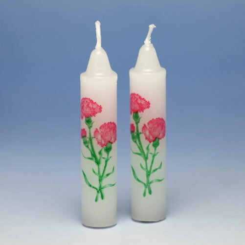 La Bouquet (La Bouquet) 2 Curnations получили энергию 160-12 сделано в Tokai