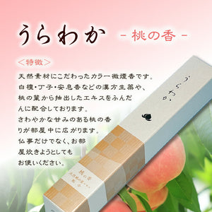 Urawaka Assort Short Dimension 5 Box Paper Box Oka Kaishido Seijudo [국내 배송 전용]