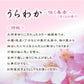 Urawaka礼物（Paulownia盒，短尺寸，8个试管）彩色烟雾香棒礼物Seijudo