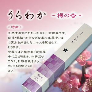 Urawaka Assort Short Dimension 5 Box Paper Box Oka Kaishido Seijudo [국내 배송 전용]