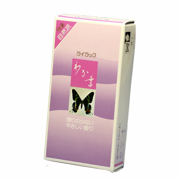 YP-1 Wakaba大玫瑰细烟Kaika很棒